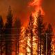 The Hog Fire burns outside of Susanville, California, in July 2020.